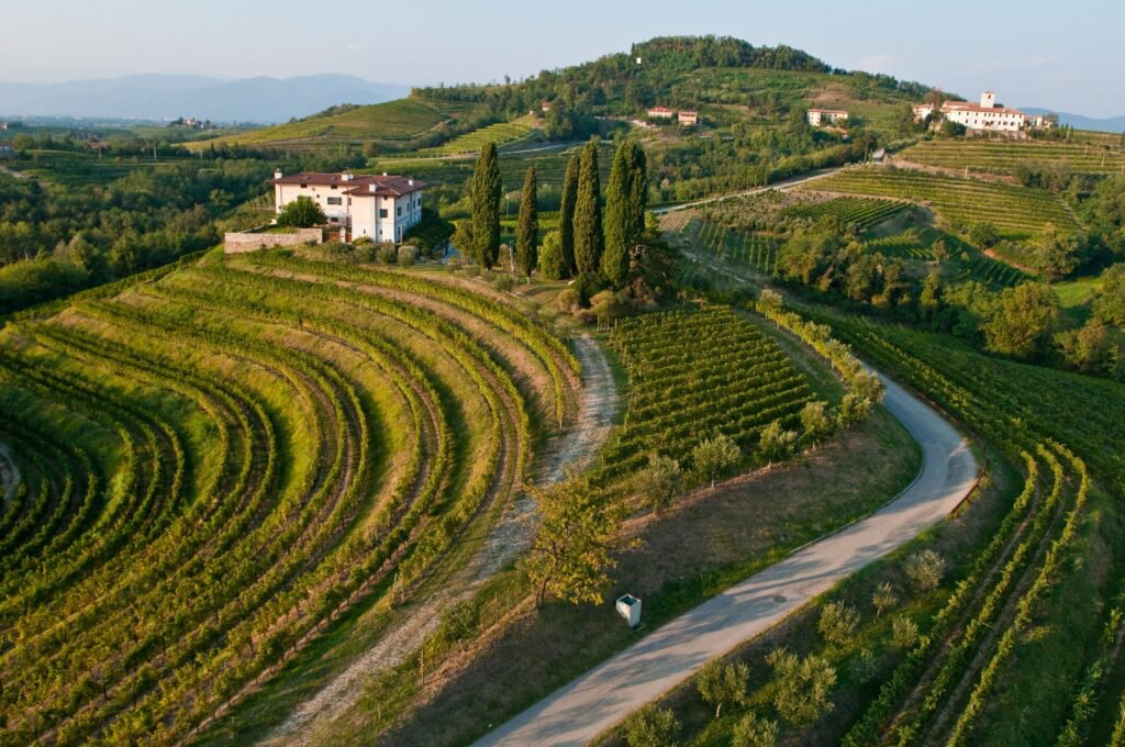Collio